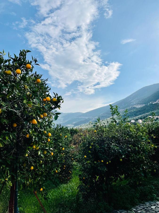 Citrus Garden Villa Epidaurus Exterior photo